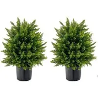 COSTWAY 2er Set Kunstpflanze 55cm Zeder Buchsbaum - Künstliche Weihnachtsbäume, realistische Dekoration, pflegeleicht und UV-beständig – ideal für Zuhause und Büro, sieht immer frisch aus ohne Wasser und Sonne.