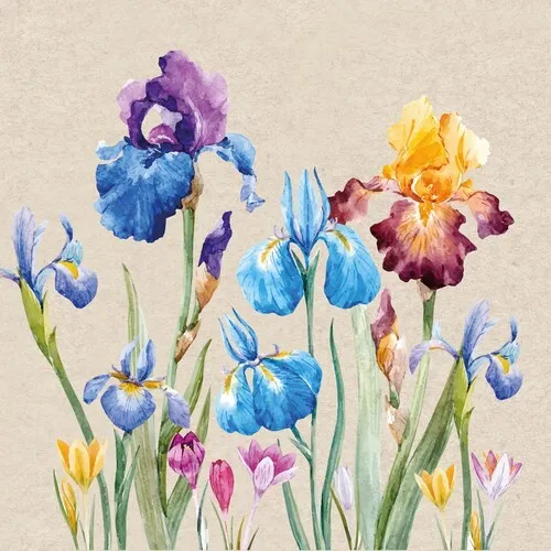 Servietten nachhaltig Iris Bunte Blumen Garten Natur Öko Sommer Deko 33x33cm 20
