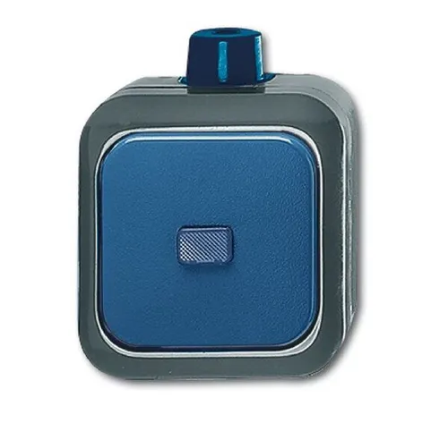 Busch-Jaeger 2601/6 SKWDI AUS/WECHSEL-KONTROLL - Sonstige Elektroinstallationsartikel, ideal für den Einsatz unter extremen Bedingungen mit IP66 Schutz und Glimmlampe für bessere Sichtbarkeit.