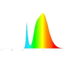 Radium Leuchtmittel von Radium