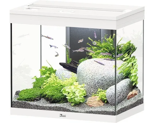 Aquarium aquatlantis Splendid 110 inkl. Beleuchtung, Filter weiß