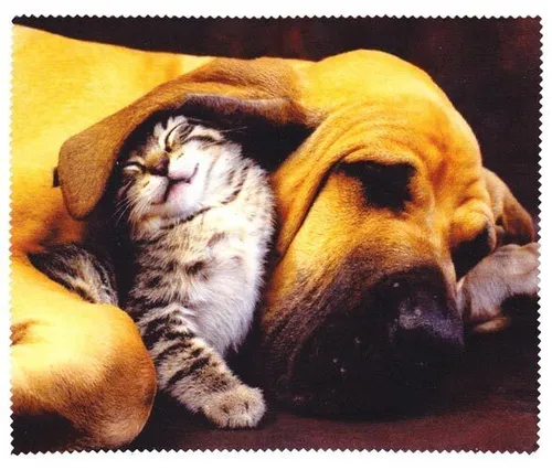 wunderschönes Tier-Microfasertuch mit Motiv - Hund + Katze - Brillenputztuch