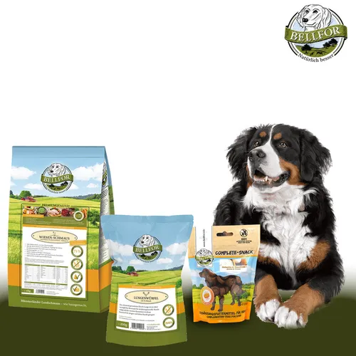 Bellfor Hundefutter Trockenfutter Soft Snack Hirsch - Hochwertiges, getreidefreies Trockenfutter für Hunde in verschiedenen Größen. Ideal für eine ausgewogene Ernährung und zur Unterstützung der Gelenke.
