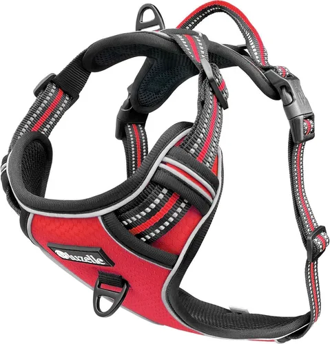 Bluzelle Hundegeschirr für mittelgroße Hunde, Reflektierendes Brustgeschirr mit GPS-Tasche - Sicherheitsgeschirr für Hunde mit Anti-Zug Design für entspannte Spaziergänge und integrierter GPS-Tasche für sichere Aufbewahrung von Tracker und ID-Tags.
