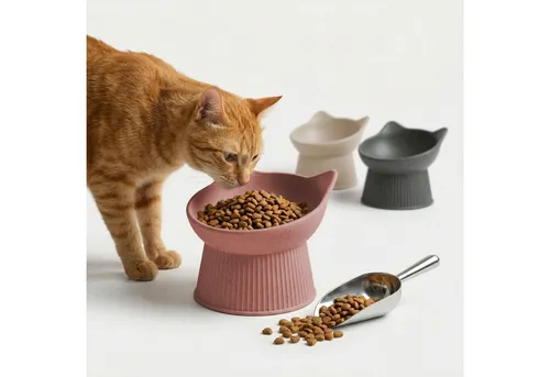 Piupet Napf Ergonomischer Futternapf Katze I schnurrhaar freundlich I rutschfest, 50 % Bambusfasern, 50 % recycelter Kunststoff, spülmaschinenfest
