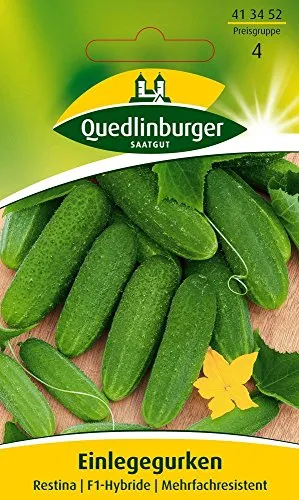 Quedlinburger Einlegegurke ''Restina''