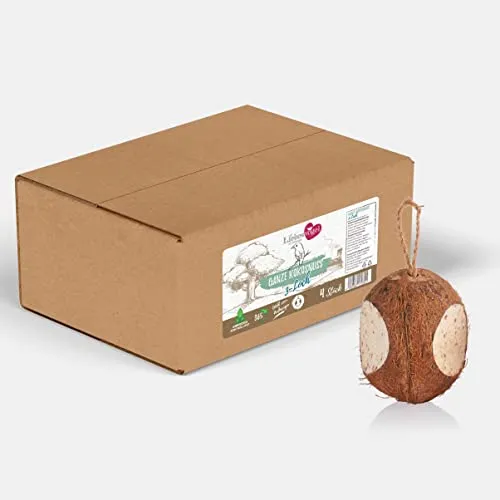 Liebesvogel für Wildvögel 4 Stück ganze Kokosnüsse für Wildvögel Vogelfutter