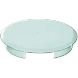 Busch-Jaeger Blinddeckel 8229/3