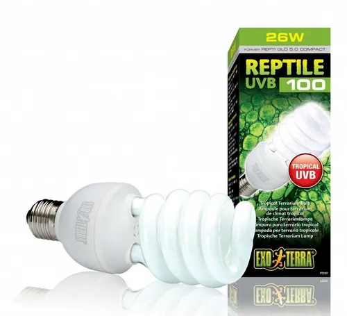 Exo Terra® Reptile UVB 100 UV-Kompaktlampe - Zubehör für Terrarien, ideal für tropische Reptilien mit optimalem UVB-Spektrum für gesunde Kalziumversorgung und Appetitsteigerung.