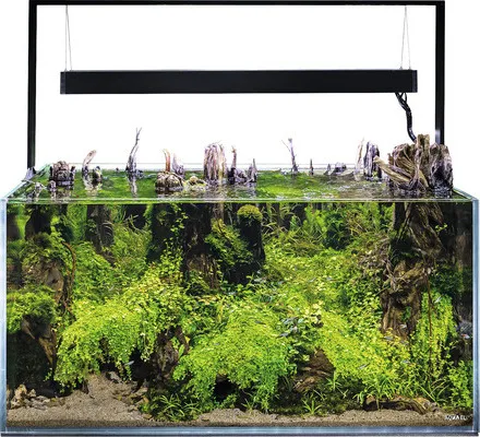 Aquarium AQUAEL UltraScape 90 mit LED Beleuchtung ca. 243 l OPTI-Glas, Weißglas, ohne Unterschrank forest