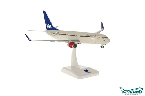 Hogan Wings SAS Boeing 737-800WW LI10932GR