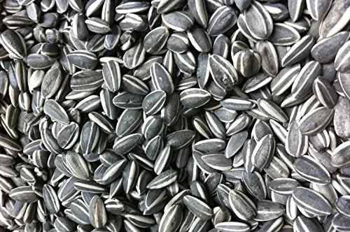 Sonnenblumenkerne gestreift 25 kg - Große 25 kg Packung gestreifter Sonnenblumenkerne, reich an Vitaminen und Mineralstoffen, ideal für Snacks oder als Zutat in Müsli.