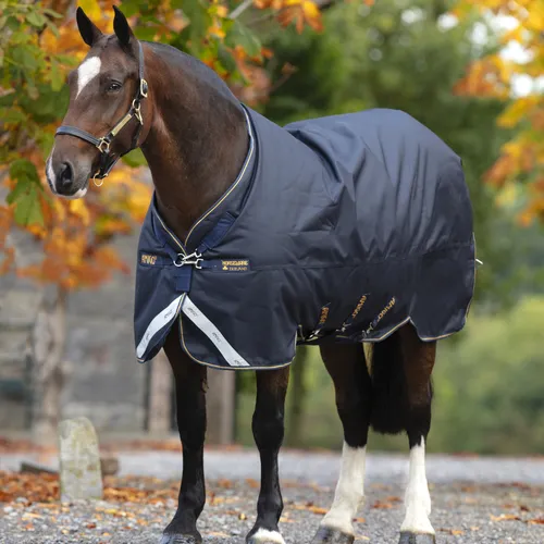 Horseware Ireland Amigo Bravo 12 XL 250g Weidedecke Navy/Gold 130 (6'0)
