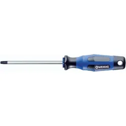 Schraubendreher Torx T25x100 Mm - Wemag