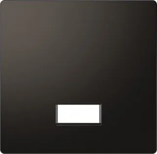 Merten MEG3350-6034 Wippe mit rechteckigem Symbolfenster, System Design, Anthrazit