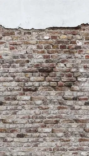 Livingwalls Fototapete Backstein Grau-Braun, 1,59 m x 2,80 m - Hochwertige Vliestapete in Steinoptik für Wohnzimmer und Esszimmer. Leicht anzubringen und abzulösen, ideal für schnelle Renovierungen.