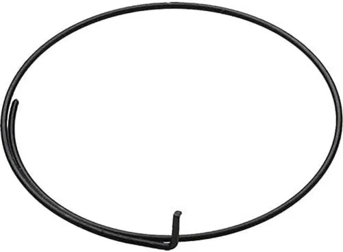 Campagnolo FH-RE114 Wrap Round Freehub Spring