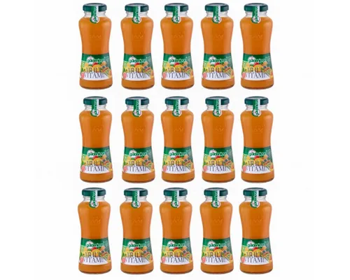 Güldenkron Multivitamin Fruchtsaftkonzentrat 15x200ml - Erfrischender Fruchtsaftmix mit einer Vielzahl an Früchten. Ideal für den täglichen Genuss und zur Unterstützung einer ausgewogenen Ernährung. Kühl und trocken lagern.