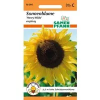 SAMEN PFANN Sonnenblume Henry Wilde