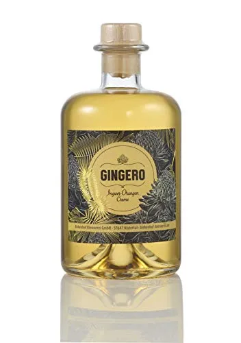 Birkenhof Gingero Ingwer-Orangen Likör 0,5 Liter - Exotischer Likör mit 32% Vol., ideal für Cocktails oder pur. Genießen Sie die harmonische Kombination aus Ingwer und Orange!