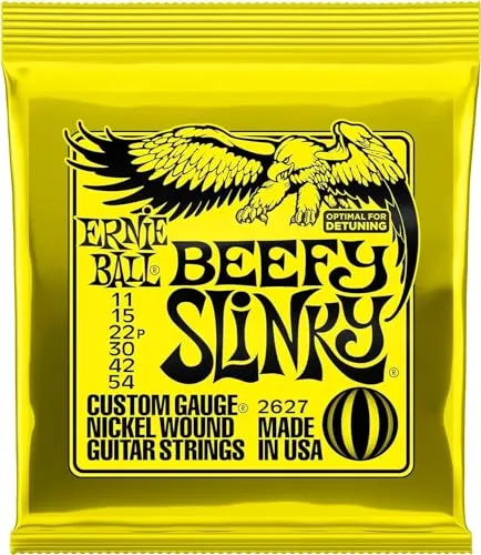 Zubehör für Musikinstrumente von Ernie Ball
