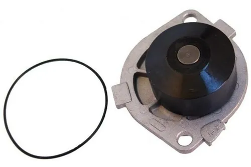 Mapco Wasserpumpe 21019