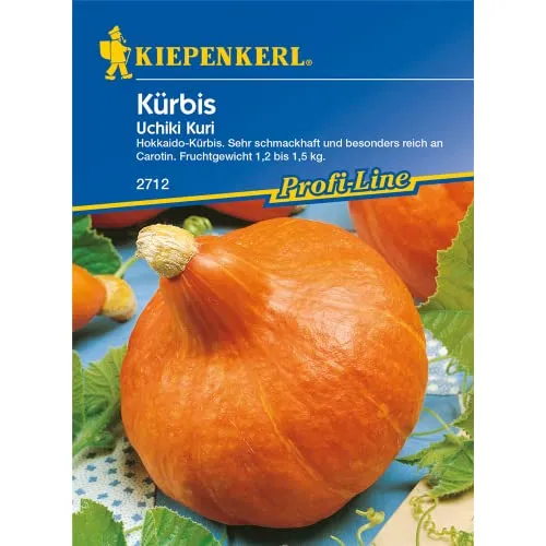 Produktbild Kürbissamen