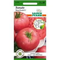 SAMEN PFANN Tomate Rose Crush F1