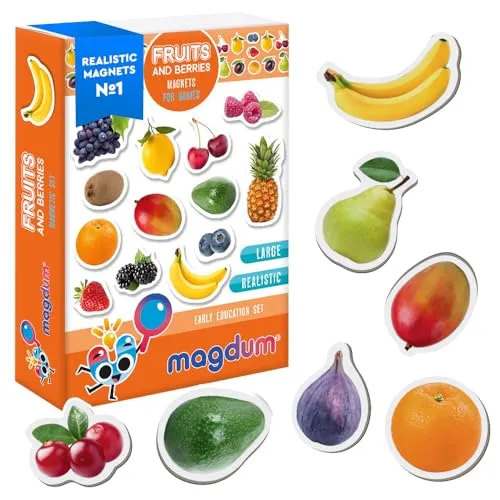 Magdum 25 Obst&BEEREN Foto Magnete Kind für Magnetafel - Magnetspielzeug - Kühlschrankmagnete - Lernspiele ab 3 Jahre