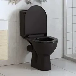 vidaXL Toilettensitz mit Absenkautomatik - WC-Sitz mit Softclose und Quick-Release-Design, ideal für hygienische Reinigung und leises Schließen, passend für alle gängigen WC-Schüsseln.