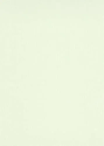 BRICOFLOR Einfarbige Vliestapete grün | Uni Tapete in Hellgrün für Schlafzimmer und Wohnzimmer | Schlichte Wandtapete in Salbeigrün modern