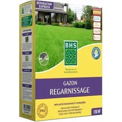 BHS Samen 3 Kg Rasensamen für grünen Rasen