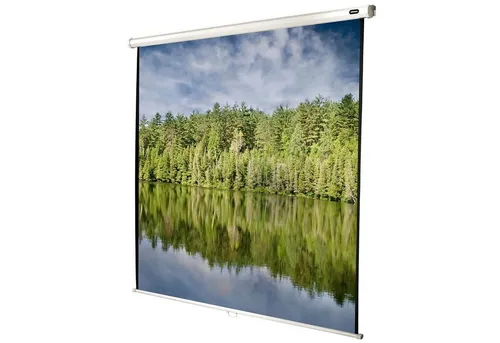 celexon Economy Rollo-Leinwand 100