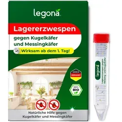 Legona Lagererzwespen gegen Kugelkäfer und Messingkäfer von Legona-DE