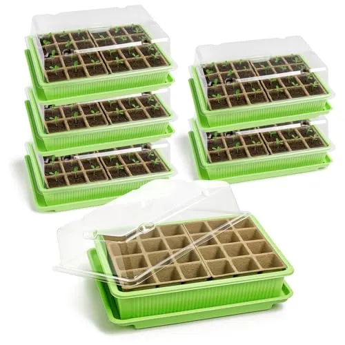 com-four® 6X Zimmergewächshaus zum Anzüchten von Pflanzen, Anzuchtset für 144 Pflanzen, Pflanzkasten für die Wohnung, 27 x 19 x 11 cm (6 Stück - Zimmergewächshaus)