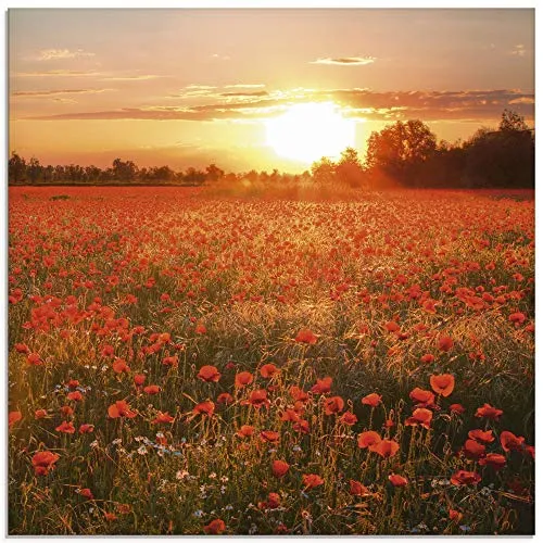 ARTland Wanddeko Glasbilder Wandbild Glas Bild einteilig Quadratisch Natur Landschaft Blumen Mohnblumen Feld Sonnenuntergang Blumewiese S6AM
