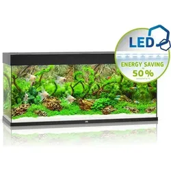 Aquarium JUWEL Rio 240 mit LED-Beleuchtung in schwarz von JUWEL Aquarium