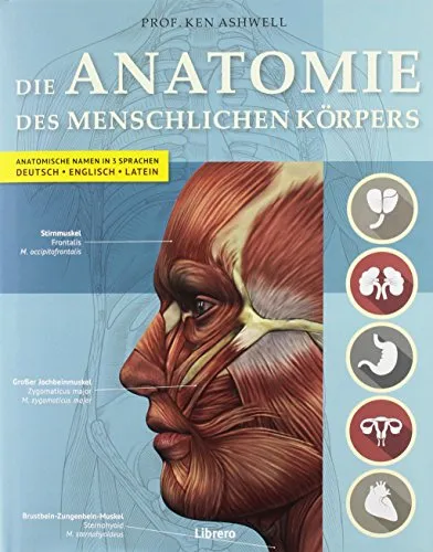 DIE ANATOMIE DES MENSCHLICHEN KÖRPERS: Anatomische Namen in 3 Sprachen. Deutsch - Englisch - Latein