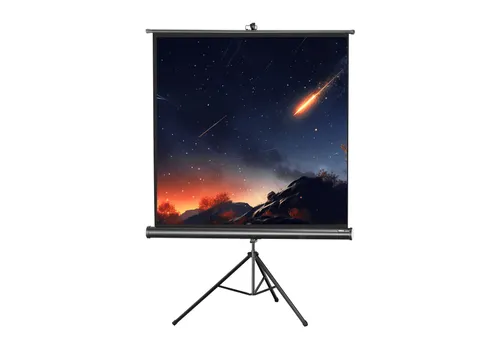 celexon Stativleinwand Economy 158 x 158 cm von celexon
