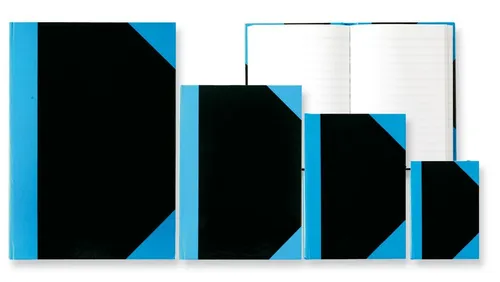 Stylex Schreibwaren Notizbuch Kladde DIN A5 Notizbuch 96 Blatt liniert Tagebuch