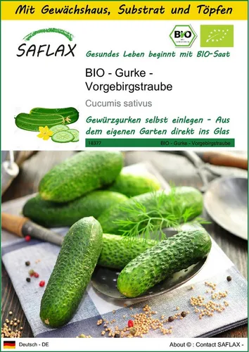 SAFLAX Gemüsesamen SAFLAX - Anzuchtset - BIO - Gurke - Vorgebirgstraube
