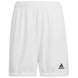 Shorts Weiß von adidas