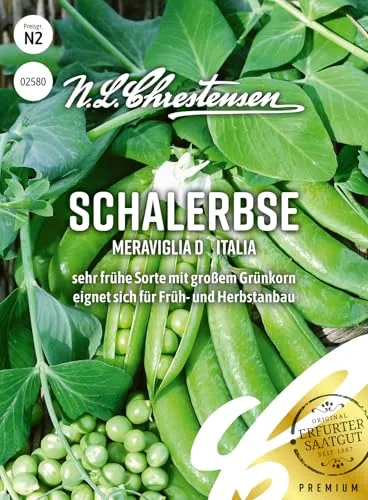 Schalerbse Feltham First Samen, Saatgut