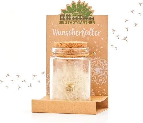 Trockenblume Wunscherfüller, Perfekte Geschenkidee für jeden Anlass Pusteblume, Die Stadtgärtner, Echte Pusteblume