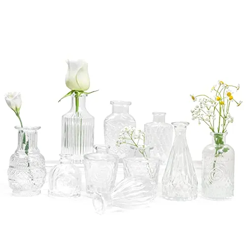 Kleine Vasen 10 Stück Mini Glas Blumenvase Set Verschiedene Größen für Tischdeko Home Hochzeit Dekoration (Transparent)