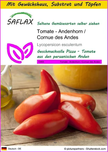SAFLAX Gemüsesamen SAFLAX - Anzuchtset - Tomate - Andenhorn / Cornue des Andes