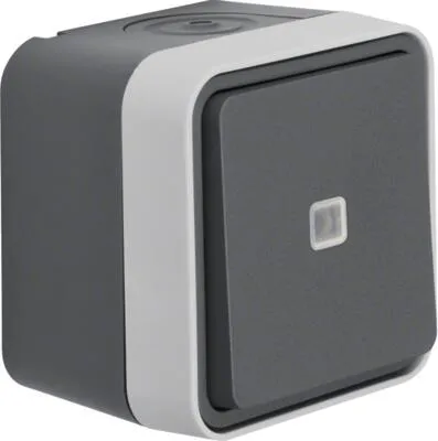 Berker W.1 Kontroll-Wechselschalter (grau/lichtgrau matt) - Sonstige Elektroinstallationsartikel mit hoher Betriebstemperatur von -40 bis +60 °C, ideal für Feuchtrauminstallationen und einfache Montage durch Bajonett-Schnellverschluss.