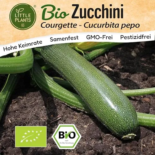 Little Plants BIO Zucchini Samen 10 Zucchinisamen Courgette Gemüsesamen für Gemüsegarten Samenfest Gemüse Samen für Küche, Balkon und Garten