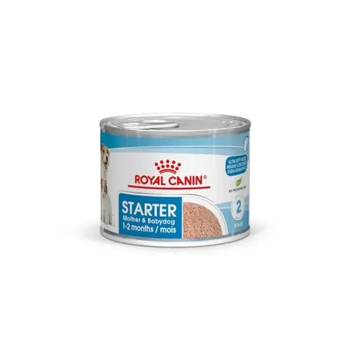Royal Canin Starter Mousse Mother & Babydog | 12 x 195 g | Ultra Soft Mousse Feuchtnahrung | Für Hündinnen im letzten Drittel der Trächtigkeit und während der Säugezeit