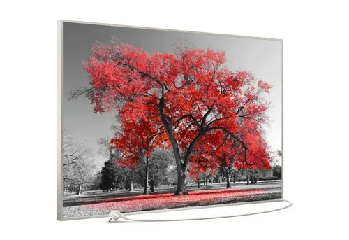 STEINFELD Heizsysteme Infrarotheizung Bild 900W, 120x74cm, Made in Germany, 7J Garantie, mit Thermostat, viele Motive